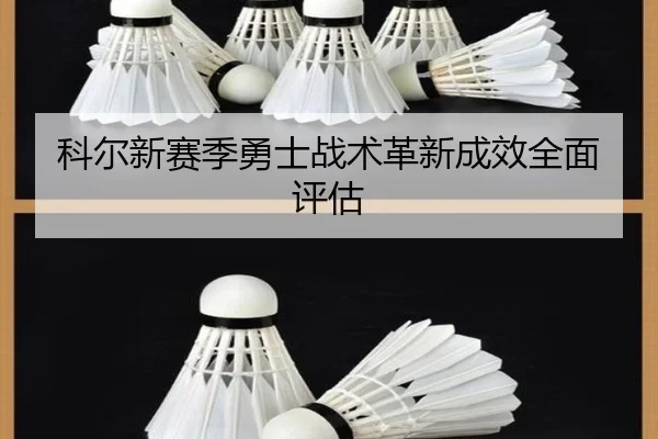 ke-er-xin-sai-ji-yong-shi-zhan-shu-ge-xin-cheng-xiao-quan-mian-ping-gu-2-548.jpg